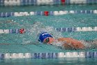 Swim vs Bentley  Wheaton College Swimming & Diving vs Bentley University. - Photo by Keith Nordstrom : Wheaton, Swimming & Diving